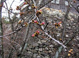 �܂��ڂ݂̍��̉�