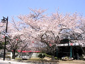 �܂��ݎ��������̍�