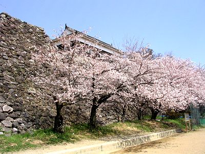 �T���O�����h���猩�������E�ƍ�