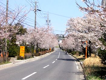 �����C���̑�������i�����������Ȃ�āj�̍�