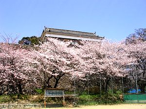 ���낻��U��n�߂����i�T���O�����h����j