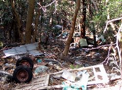 �S�~���̂Ă��Ă����K�P