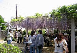 �ӂ������ɗ����l�B