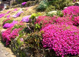 �]�����ł݂�����