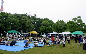 �J�͗l�̉��