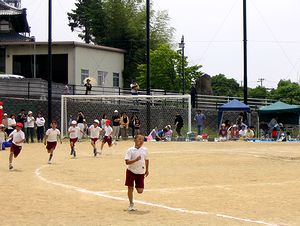 �T�N���̂P�O�O����