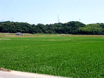 �X�Ƃ����c��ځi�R�����Łj