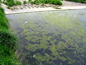 �J�����Ȃ����ߐ������ꂸ��ǂ�ł���鎭��