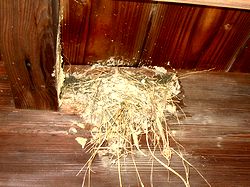 �c�o���̑����݂��܂���