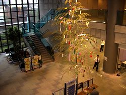 ���؎s�̑��������Z���^�[�i�P�K�j