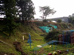 �����w�Z�k�̌�������