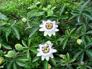 �܂��Ō�������