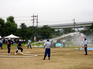 ���@���̗l�q