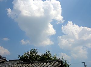 �~�J������������̉ċ�