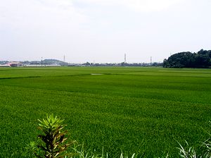 �X�Ǝ���c���