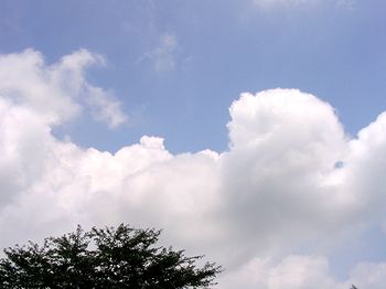 �ċ�ɓ����_