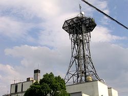 �m�s�s�̌����i���ے��j