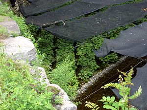 �剤�킳�є_��