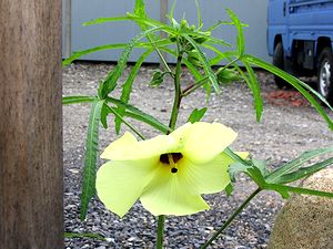 �܂��Ō�������