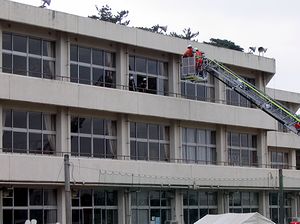 �͂����Ԃɂ��Z�ɂR�K����̋~�o�P��