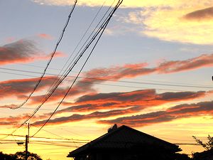 ������̗[�Ă��i����琼������j