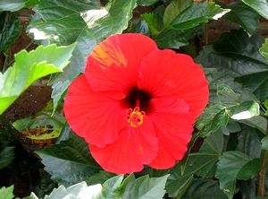 �܂��Ō�������