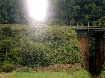 �ČR�@�ɏP�����󂯂��I���{���i����c���j�@�p�l���W�����