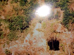 �n�����@�p�l���W�����@