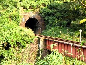 �����Ō��������̍D���Ȍi�F