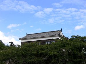 �H����̋�i����̑����E�j