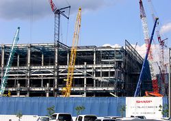 ���ݒ��̃V���[�v�T�R��Q�H��