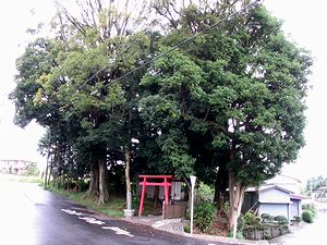 �܂��Ō����������i�i�쑺�j