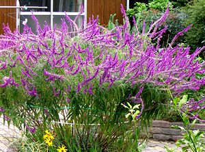 �܂��Ō�������