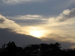 �[�Ă��̋�