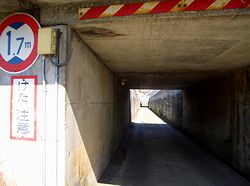 �������̓V�䂪�Ȃ��Ȃ����i�q詓��i�ʏ̂܂�ڂ��j