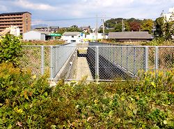 �������̓V�䂪�Ȃ��Ȃ����i�q詓��i�ʏ̂܂�ڂ��j�@�ォ�猩������