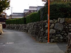 �ΐςɈ͂܂ꂽ��{�̂܂�