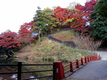 �T�R�����̒r�Ƌ�