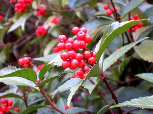 ��̃Z�������E