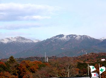 ������H�Ŕ����Ȃ�����o�R���ʁi�c��T��������j