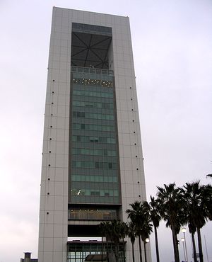 ����A��c�Ɏg�����l���s�`�|�[�g�r���i�X�U���~�������A���_�Ȏ��ƂƂ̔ᔻ�����錚���j