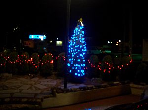 �C���~�l�[�V���������ꂢ�Ȏ����ɂȂ�܂���