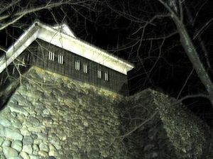 �~�̖�A���C�g�A�b�v���ꂽ�����E