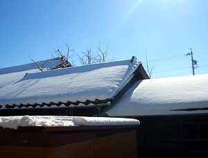 �����ɂ͐󂪏o�Đ�̔������܂Ԃ���