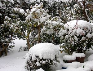 ����̐�i�F�@��������i�F���H