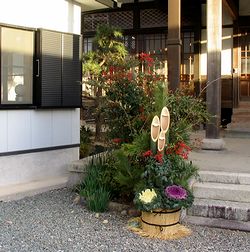 �������叼�����Ă�ꂽ�i�T�R�V�����Łj