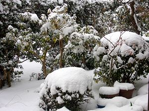 ����̑��Œ���^������