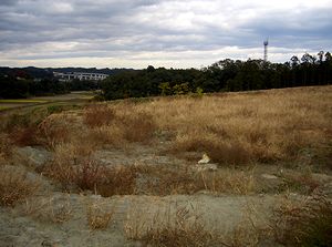 �t�F���V���g���ߗ��Ă̌���