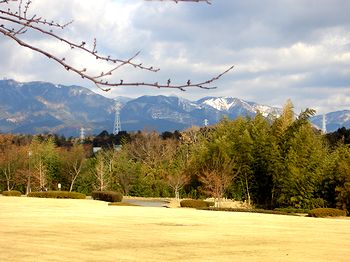 �T�R���������o�R���ʂ�����