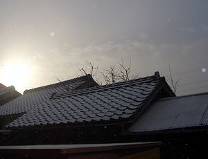 �����̓������̒�